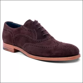 Barker Bladen - Bitta Choc Oxford Brogue*