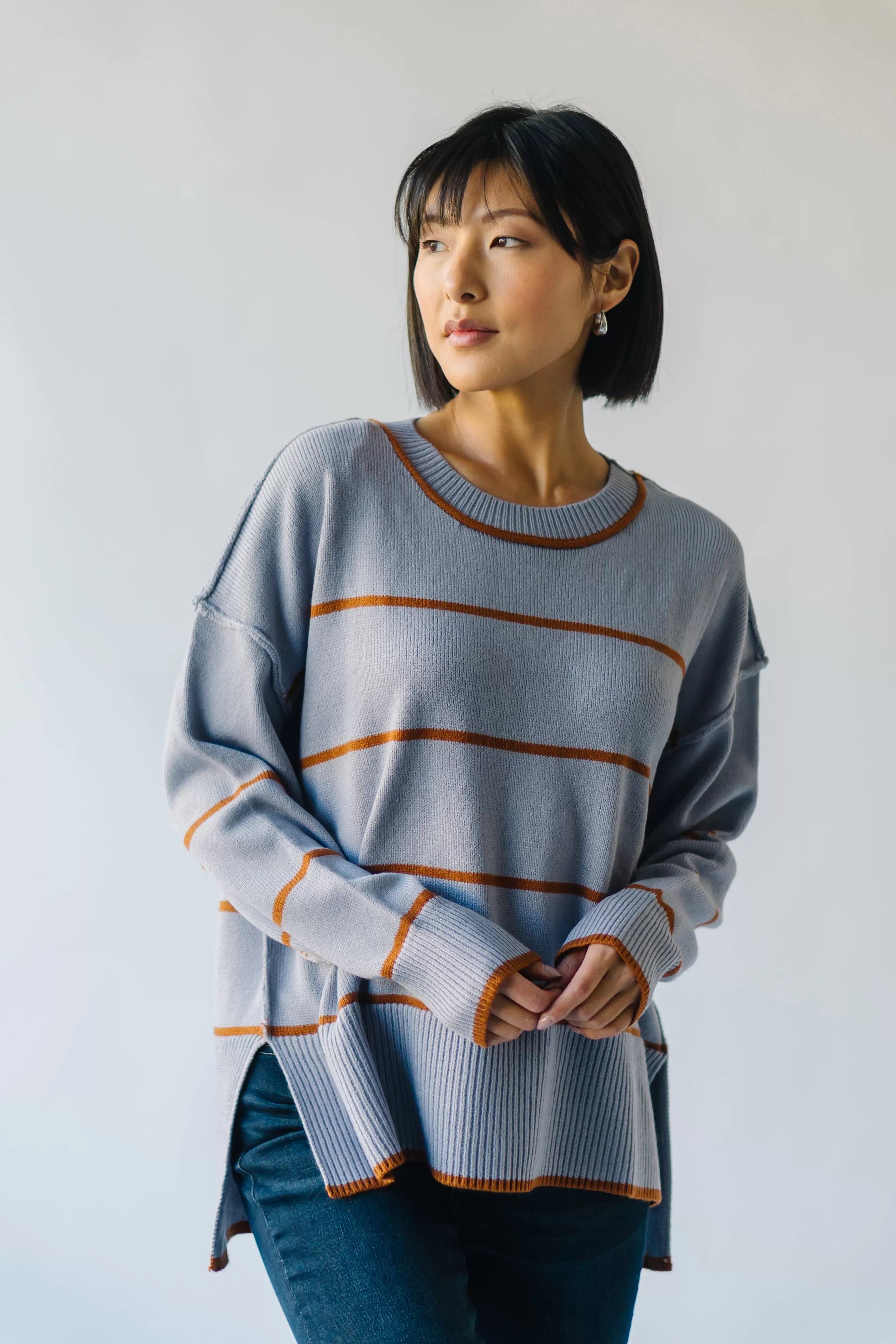 The Borden Striped Sweater in Blue   Tan